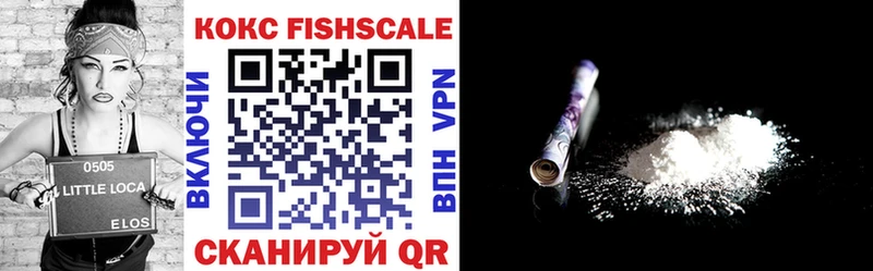 КОКАИН Fish Scale  МЕГА как войти  Закаменск  где продают  