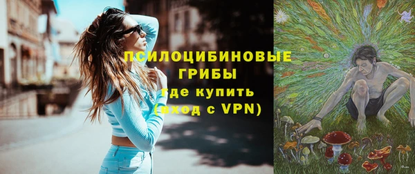 дурь Нягань