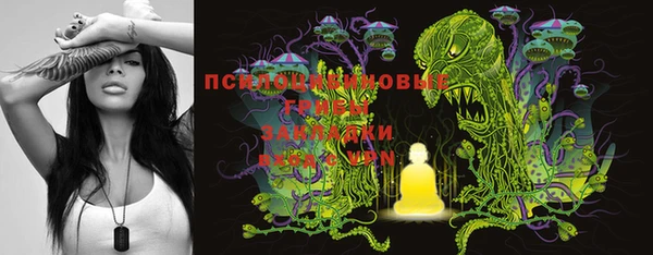 экстази Вяземский