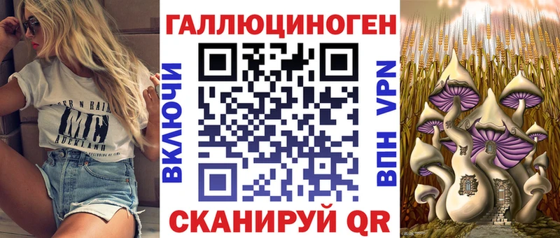 Псилоцибиновые грибы MAGIC MUSHROOMS  дарк нет как зайти  Закаменск 